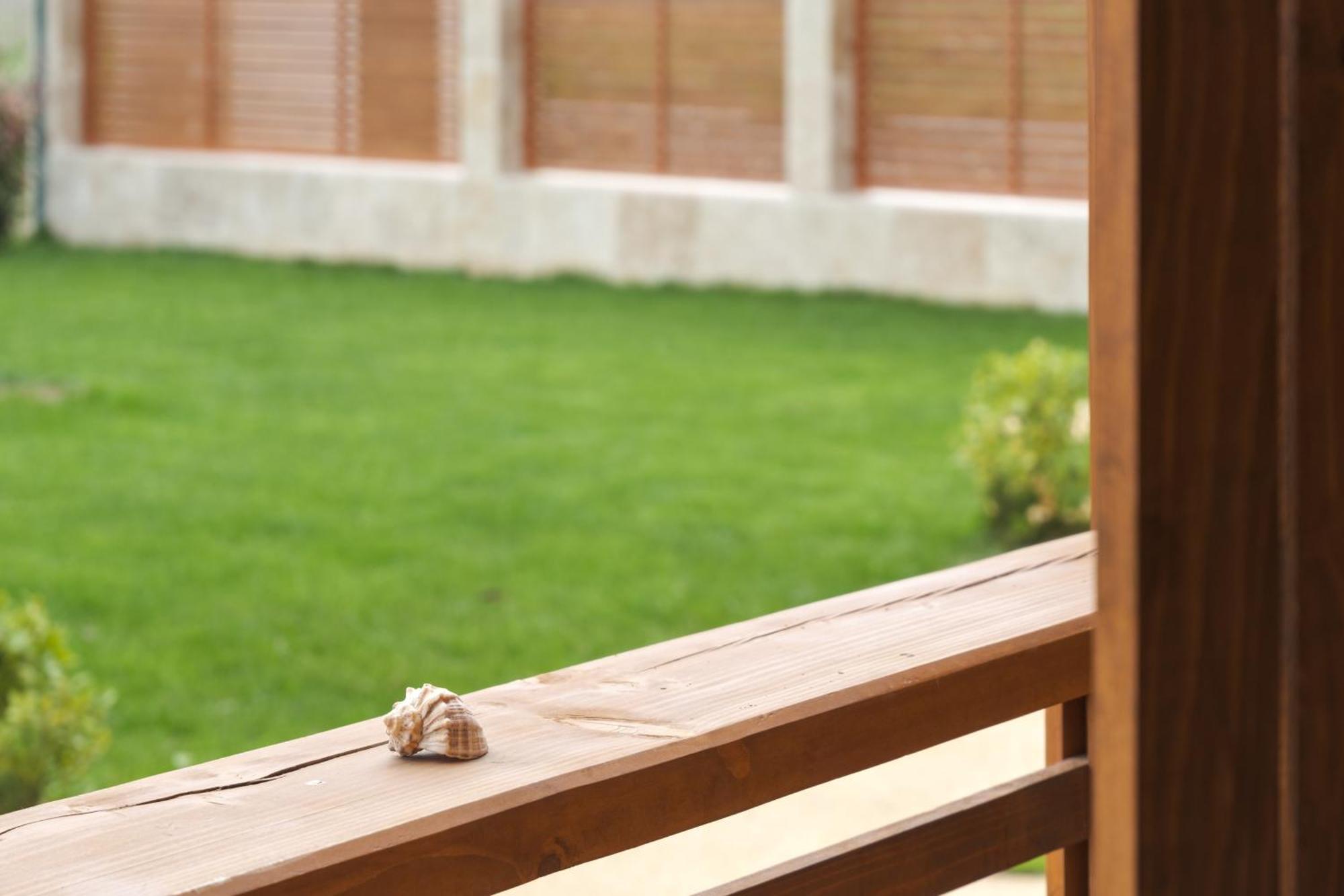 Pensiunea Evia Corbu Corbu  Ngoại thất bức ảnh